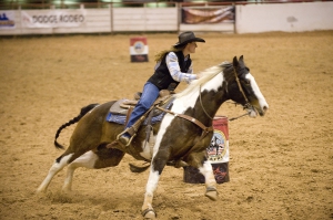 rodeo-646573_1280