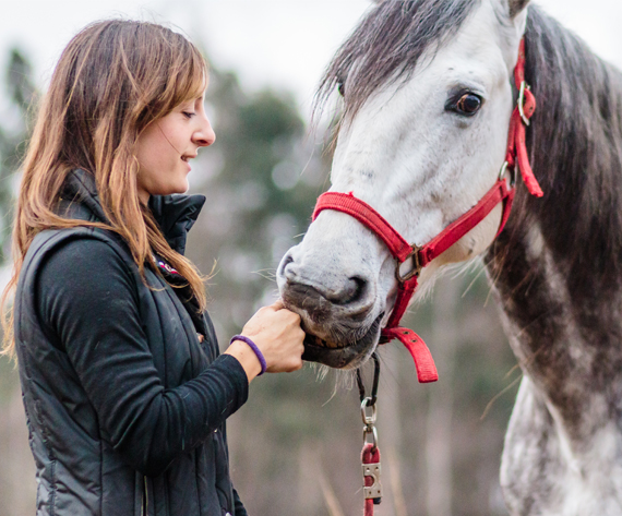 FAQ horse and women