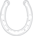 horse shoe