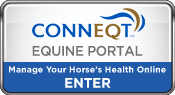 MVS Announces New Equine Portal
